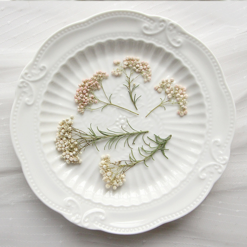 12pcs,Nature Millet flower bra - Dried Flower Bookmark ulasan dan harga